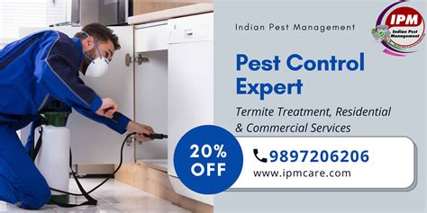 Pest & Termite Experts .